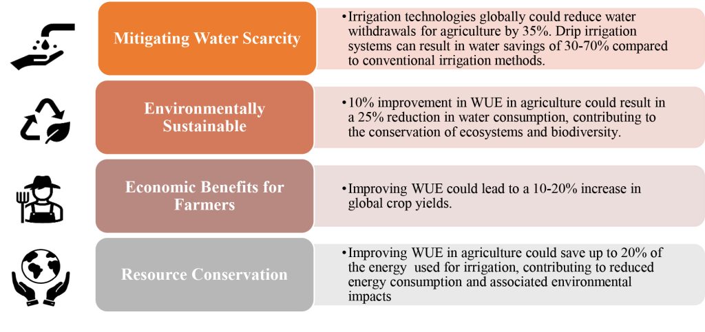 The Importance of Water Use Efficiency in Agriculture