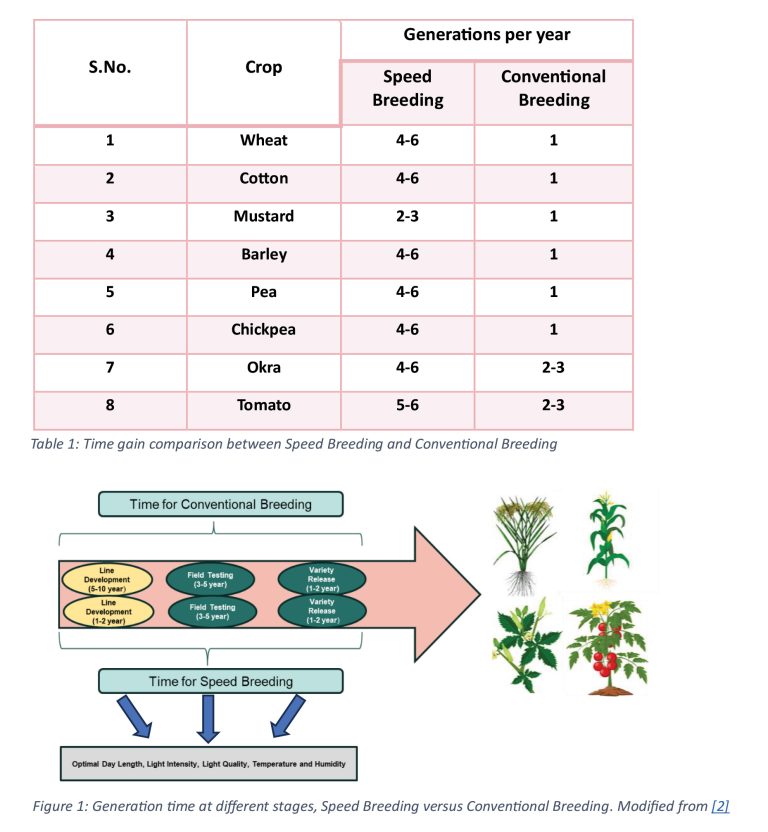 Crop Innovation in the Fast Lane: Unleashing the Potential of Speed ...