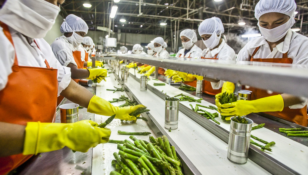 Harvesting Hope: Tackling Post-Harvest Losses in India’s Fruit and Vegetable Industry