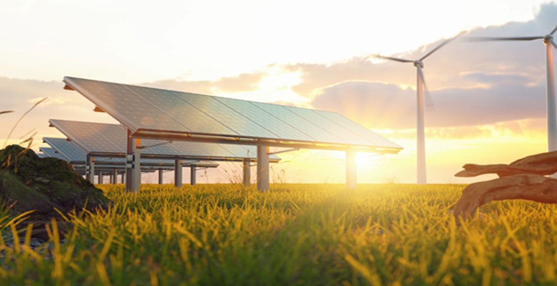 Sowing Sustainability: Strategies for a Low-Carbon Seed Industry
