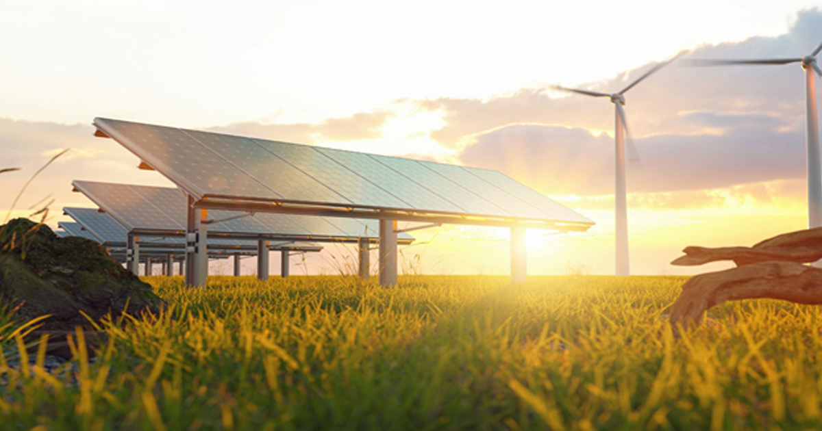 Sowing Sustainability: Strategies for a Low Carbon Seed Industry