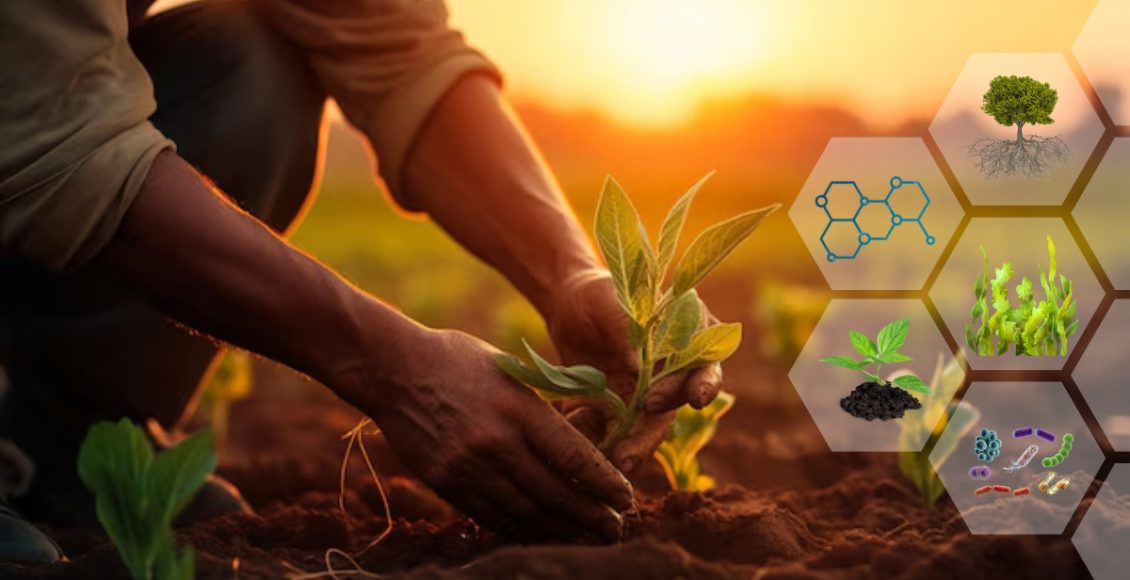 Biostimulants – The Alchemy of Modern and Future Agriculture Technology