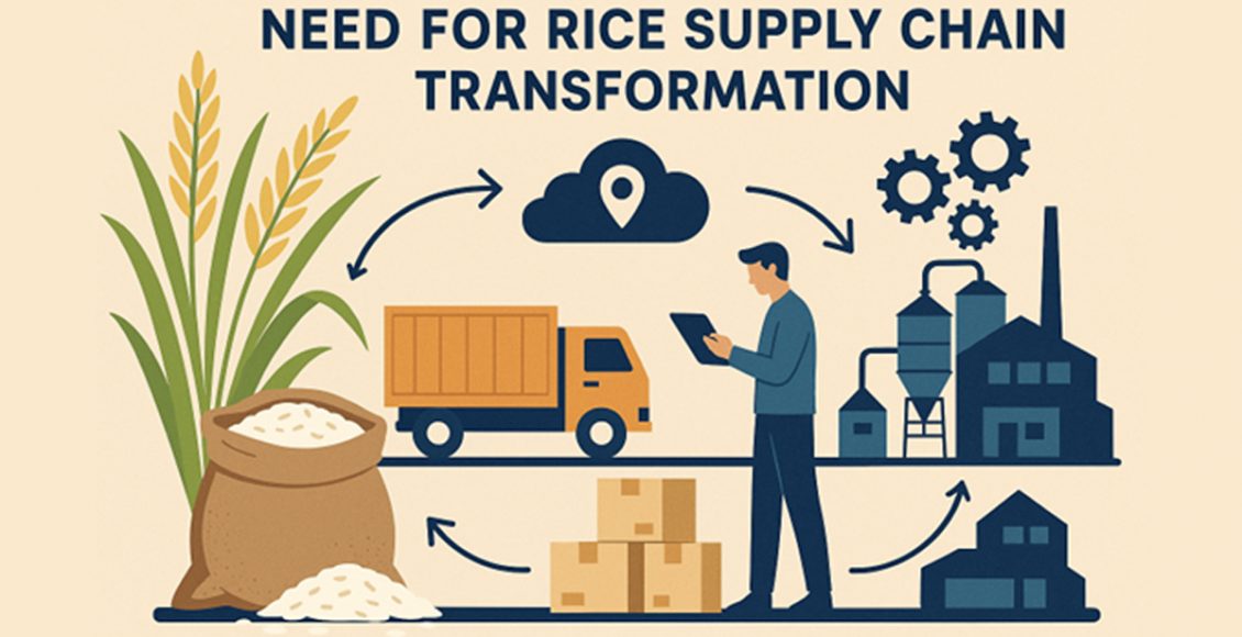 India’s Rice Exports and Virtual Water Trade: Need for Rice Supply Chain Transformation