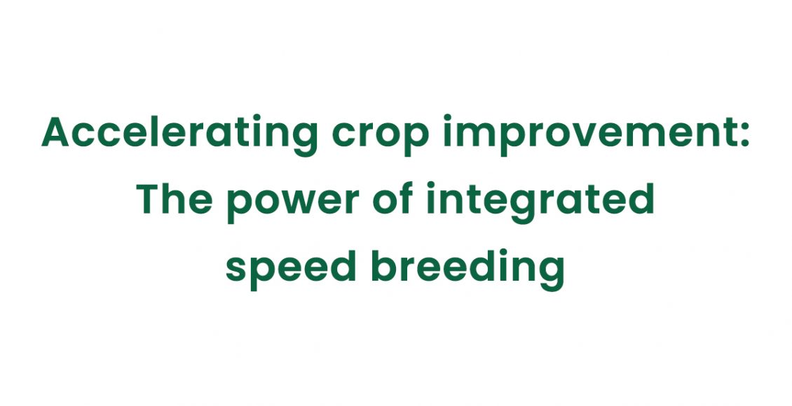Accelerating crop improvement: The power of integrated speed breeding